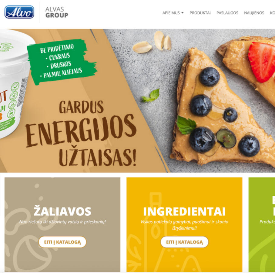 Įmonės Alvas reprezentacinės svetainės auditas
